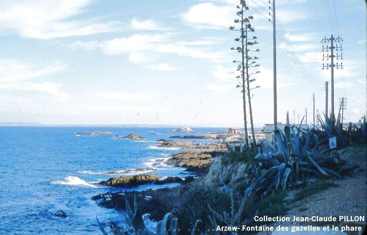 ARZEW10B -PHARE.jpg